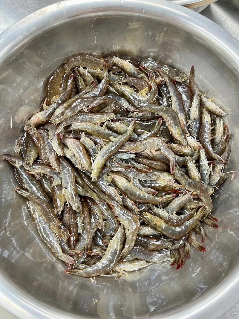 杭州月子餐配送到家 当日鲜采、专业现做，呵护每一位妈妈的月子时光